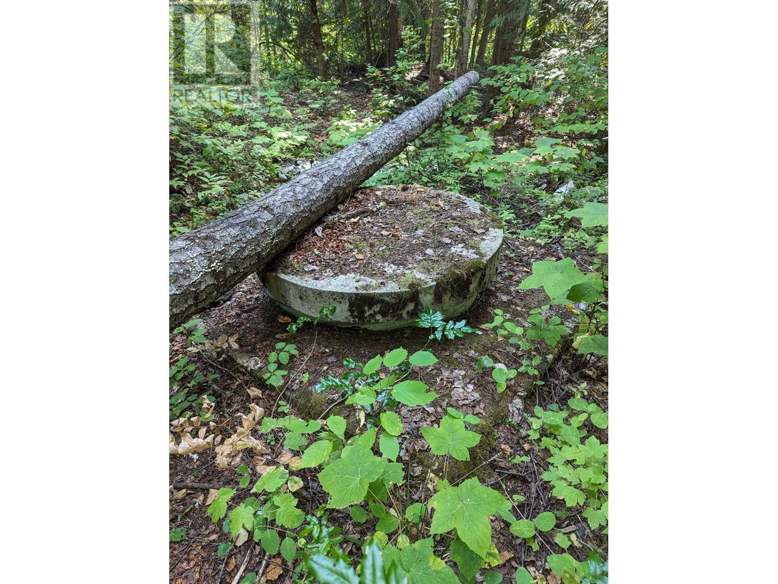 8569 BLACK MOUNTAIN Road, Chase, BC V0E1M0