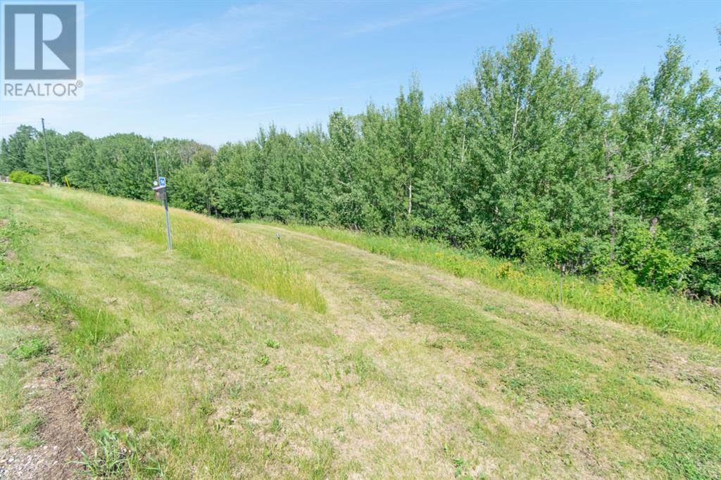 14 Buffalo Way, Rural Stettler No. 6, Alberta  T0C 3B0 - Photo 9 - A2218730