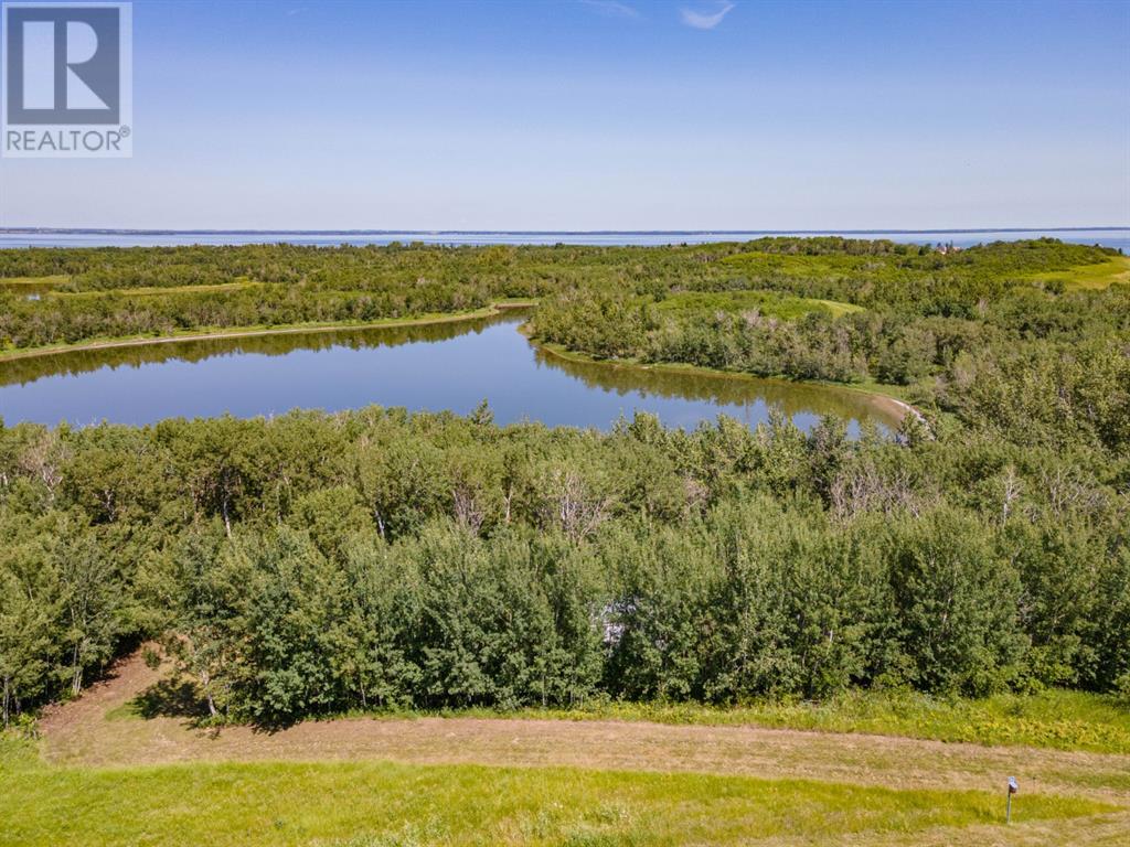 14 Buffalo Way, Rural Stettler No. 6, Alberta  T0C 3B0 - Photo 8 - A2218730