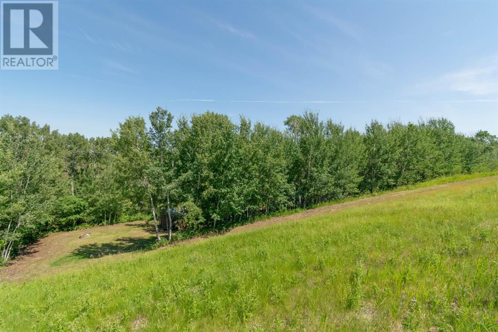 14 Buffalo Way, Rural Stettler No. 6, Alberta  T0C 3B0 - Photo 11 - A2218730