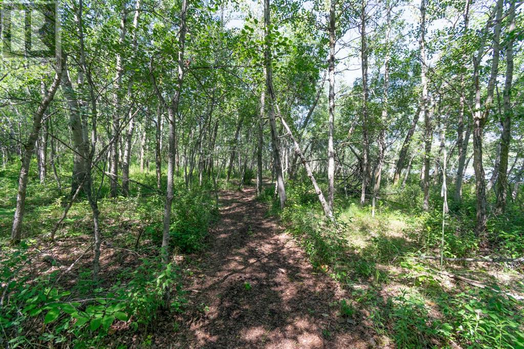 14 Buffalo Way, Rural Stettler No. 6, Alberta  T0C 3B0 - Photo 14 - A2218730