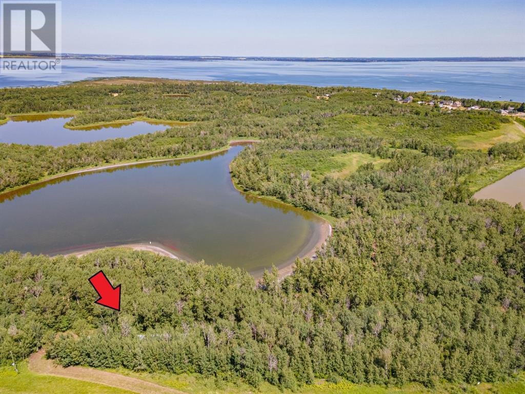 14 Buffalo Way, Rural Stettler No. 6, Alberta  T0C 3B0 - Photo 3 - A2218730
