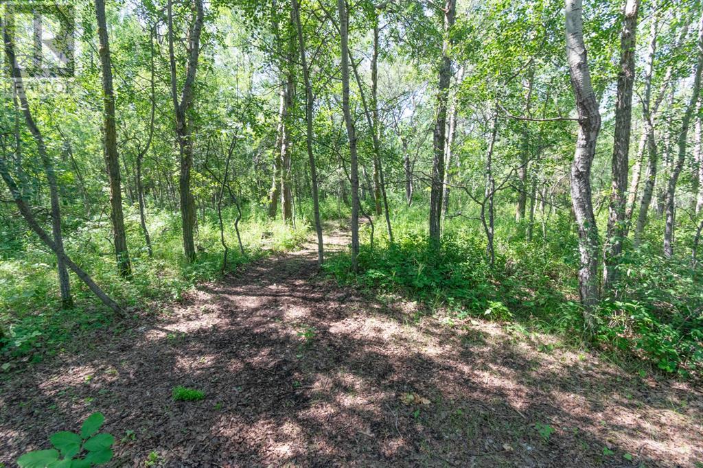 14 Buffalo Way, Rural Stettler No. 6, Alberta  T0C 3B0 - Photo 15 - A2218730