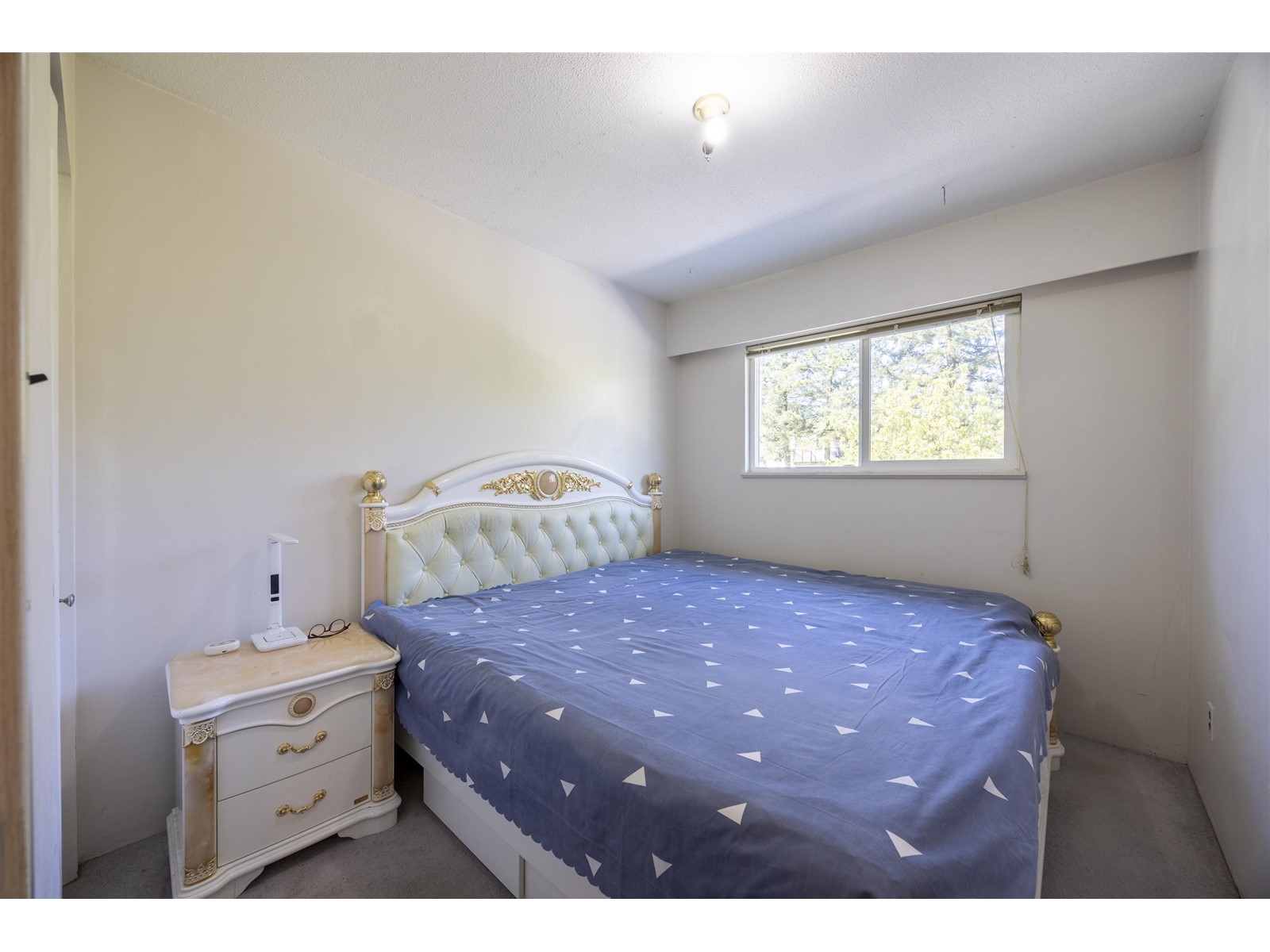 9923 Semiahmoo Road, Surrey, British Columbia  V3T 3M5 - Photo 31 - R3000869