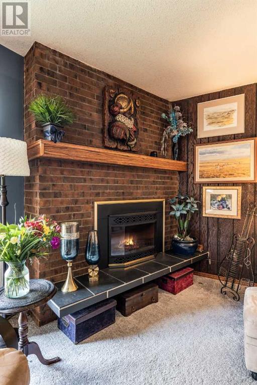 20 Harris Street Sw, Medicine Hat, Alberta  T1A 4A1 - Photo 8 - A2219223
