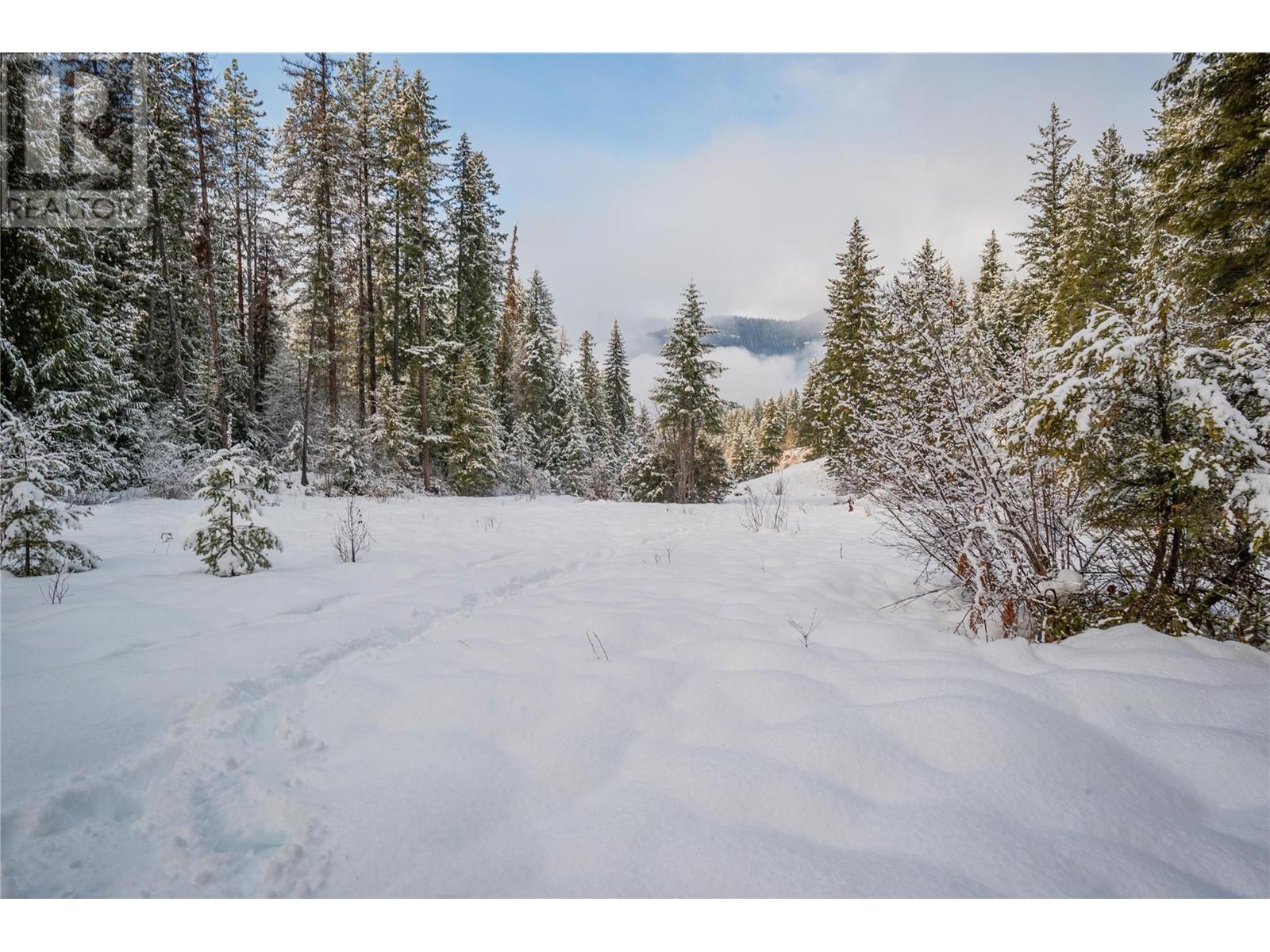 6061 Forest Road, Winlaw, British Columbia  V0G 2J0 - Photo 25 - 10332393