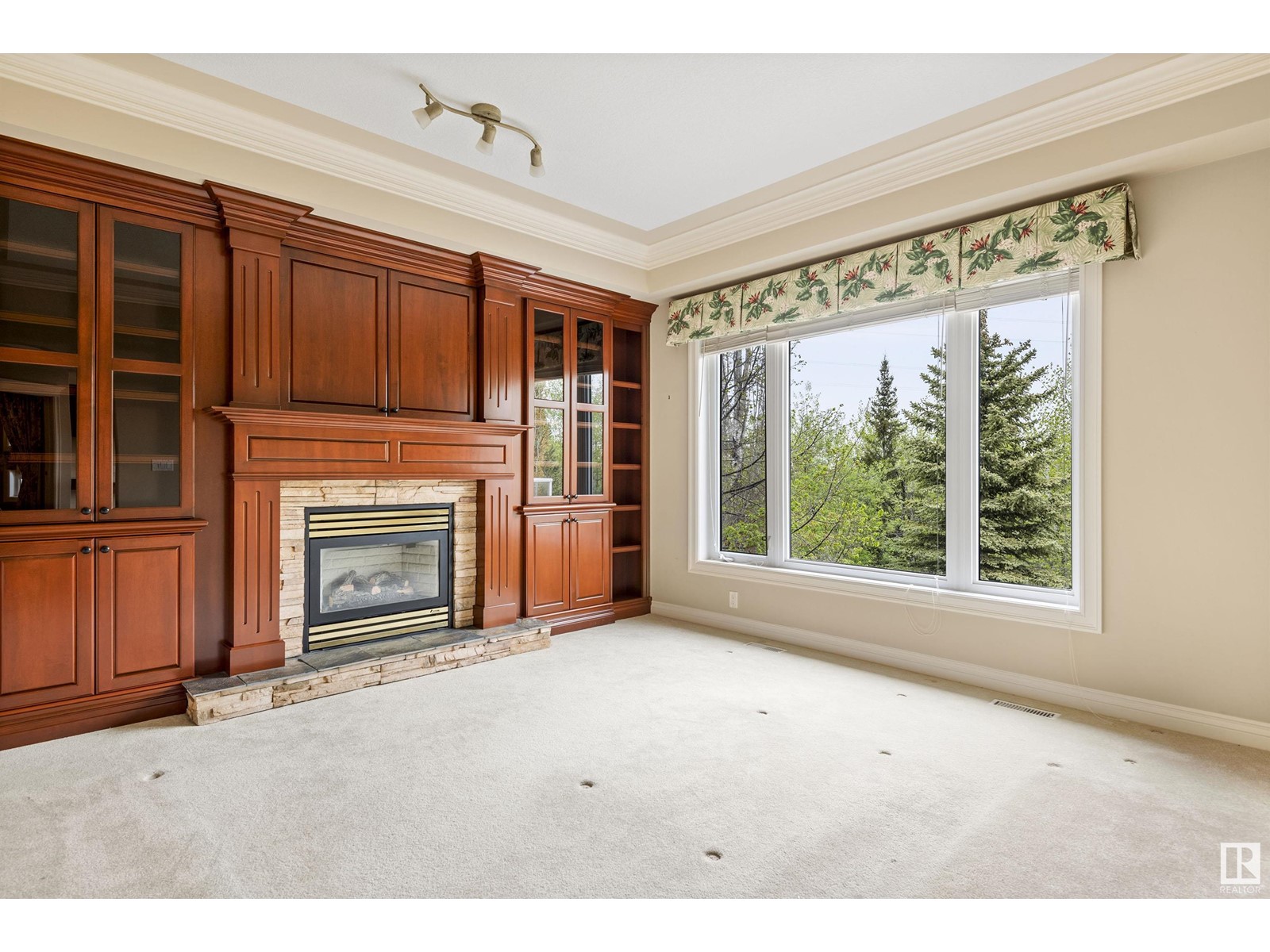957 Hollingsworth Bn Nw, Edmonton, Alberta  T6R 3G8 - Photo 30 - E4435713