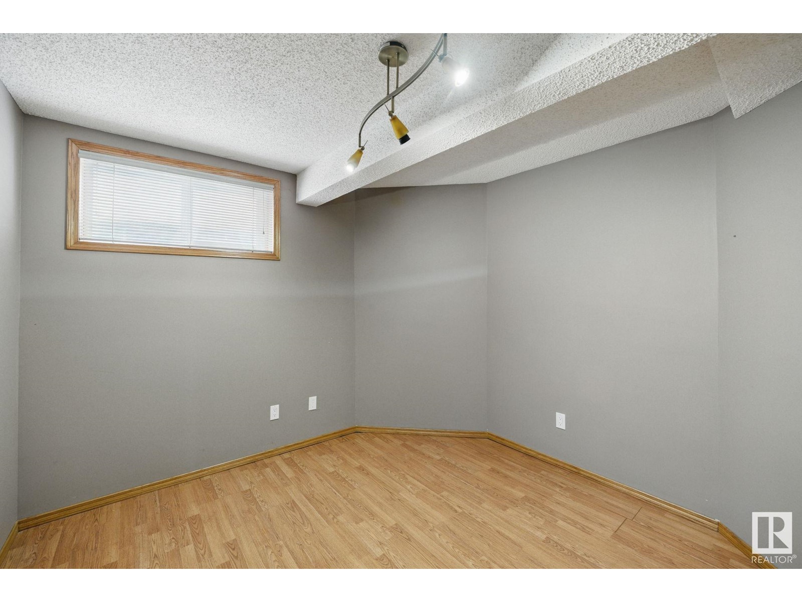 11019 10 Av Nw, Edmonton, Alberta  T6J 6N4 - Photo 39 - E4435725
