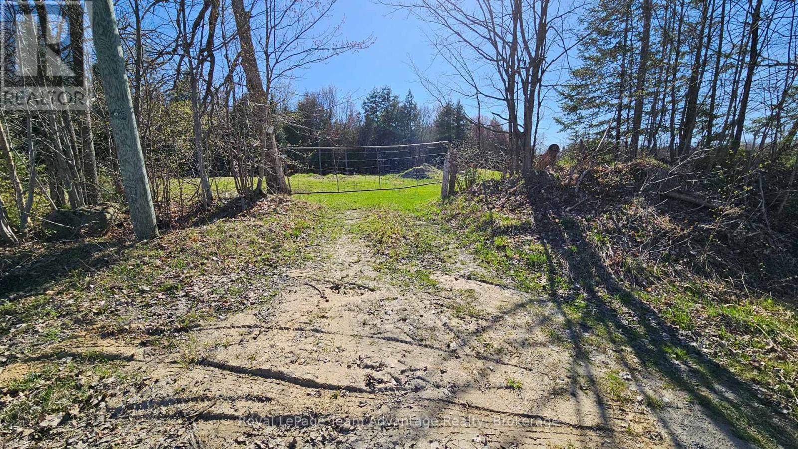 77 Lakeshore Road, Mckellar, Ontario  P0G 1C0 - Photo 10 - X12138547