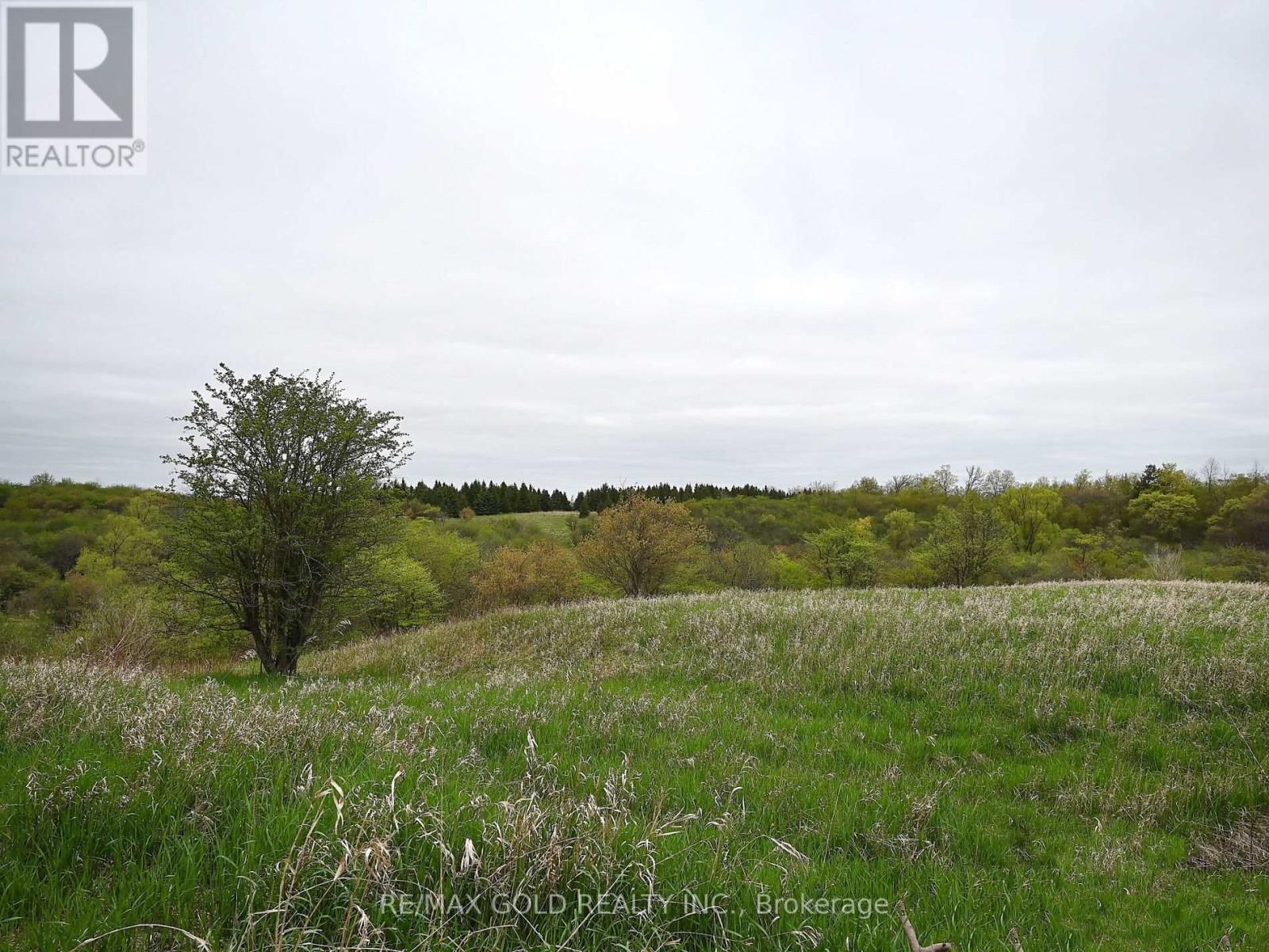 1420 - 8 Dayspring Circle, Brampton (Goreway Drive Corridor), Ontario  L6P 2Z7 - Photo 21 - W12139020