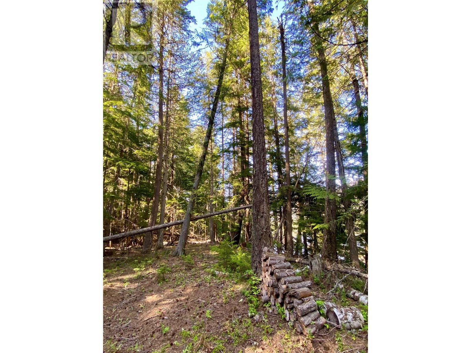 Lot A Slocan West Road, Slocan, British Columbia  V0G 2C0 - Photo 13 - 10347229