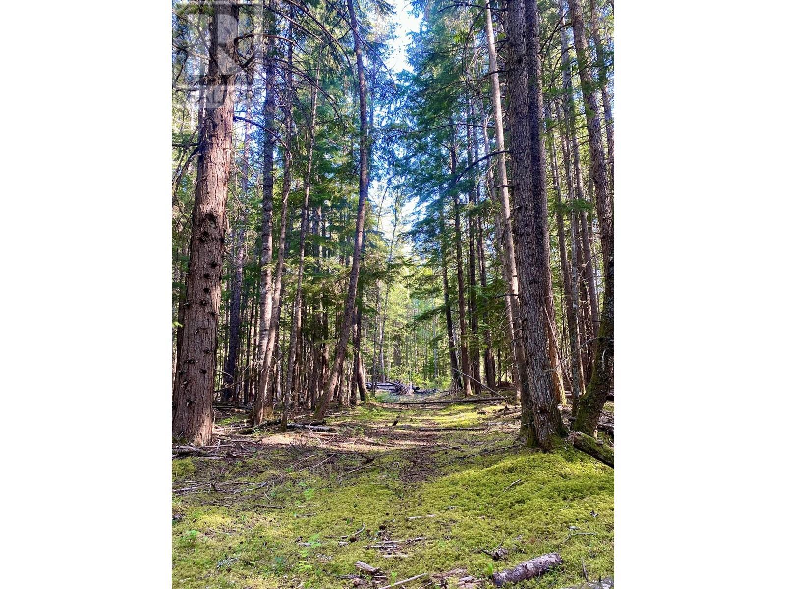 Lot A Slocan West Road, Slocan, British Columbia  V0G 2C0 - Photo 14 - 10347229