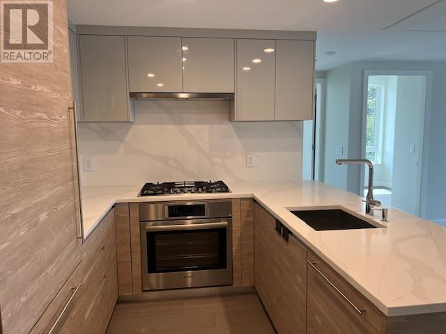 208 485 W 63rd Avenue, Vancouver, British Columbia  V5X 2J3 - Photo 4 - R2999271