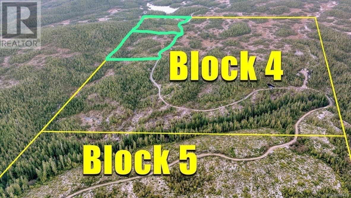 2 Cape Sutil Holberg (Off) Hwy, Port Hardy, British Columbia  V0N 2P0 - Photo 2 - 999419