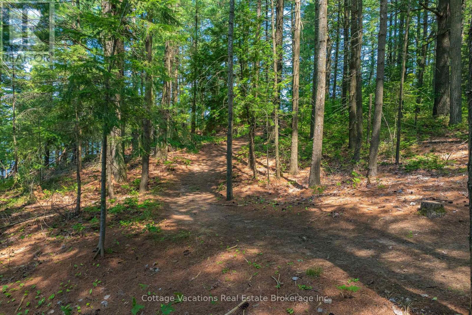 100 Rumballs, Huntsville, Ontario  P0B 1L0 - Photo 21 - X12139155