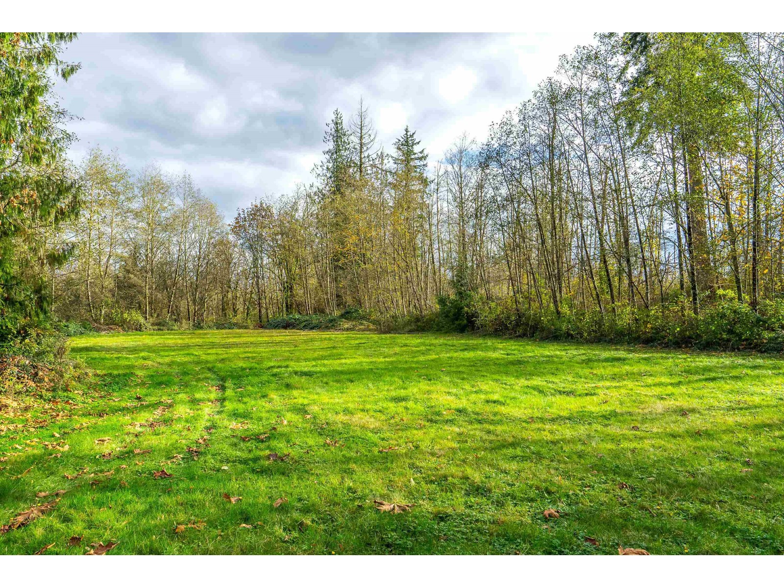 25754 82 Avenue, Langley, British Columbia  V1M 2M8 - Photo 39 - R3000037