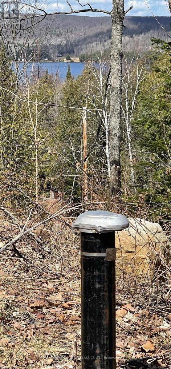 47 Arbor Vitae Road E, Madawaska Valley, Ontario  K0J 1B0 - Photo 14 - X12129543