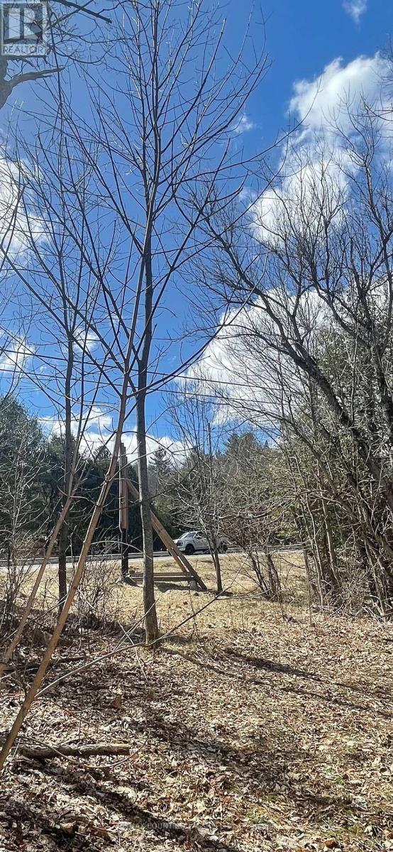 47 Arbor Vitae Road E, Madawaska Valley, Ontario  K0J 1B0 - Photo 17 - X12129543