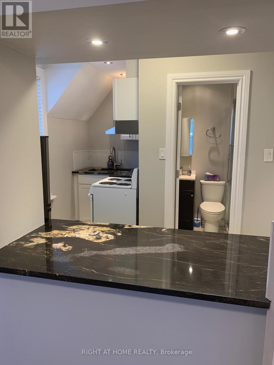 420 Bronson Avenue, Ottawa, Ontario  K1R 6J6 - Photo 19 - X12139312