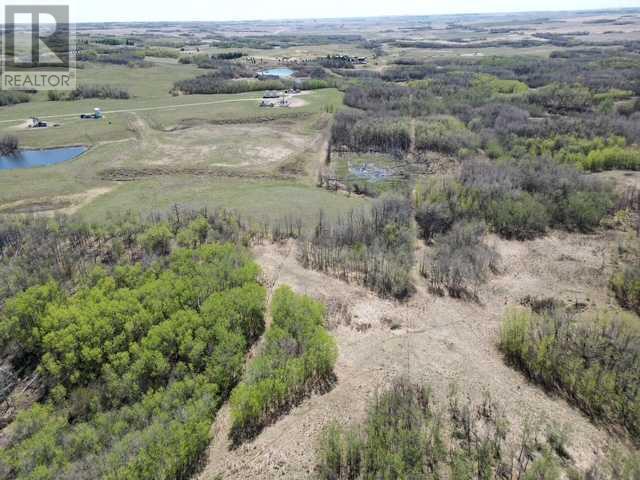 23425 Highway 590, Rural Red Deer County, Alberta  T0M 0Y0 - Photo 20 - A2217221
