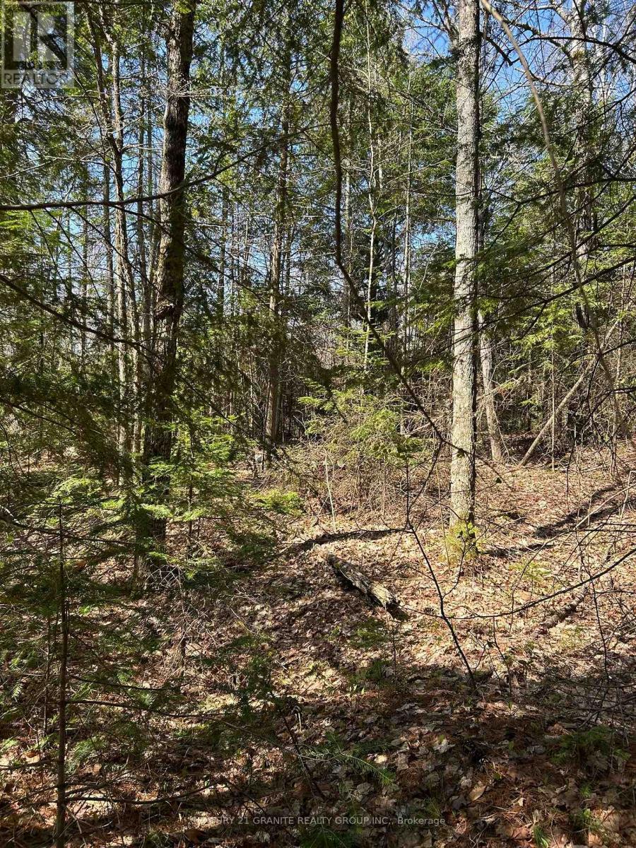 0 Madawaska Road, Hastings Highlands, Ontario  K0L 2S0 - Photo 13 - X12133954