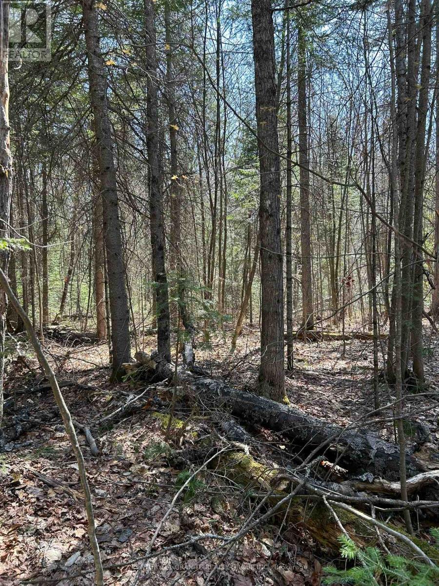 0 Madawaska Road, Hastings Highlands, Ontario  K0L 2S0 - Photo 5 - X12133954