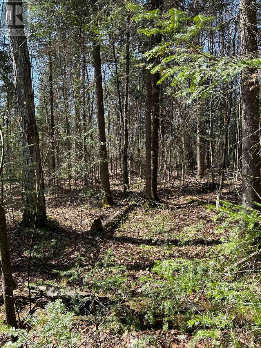 0 Madawaska Road, Hastings Highlands, Ontario  K0L 2S0 - Photo 10 - X12133954