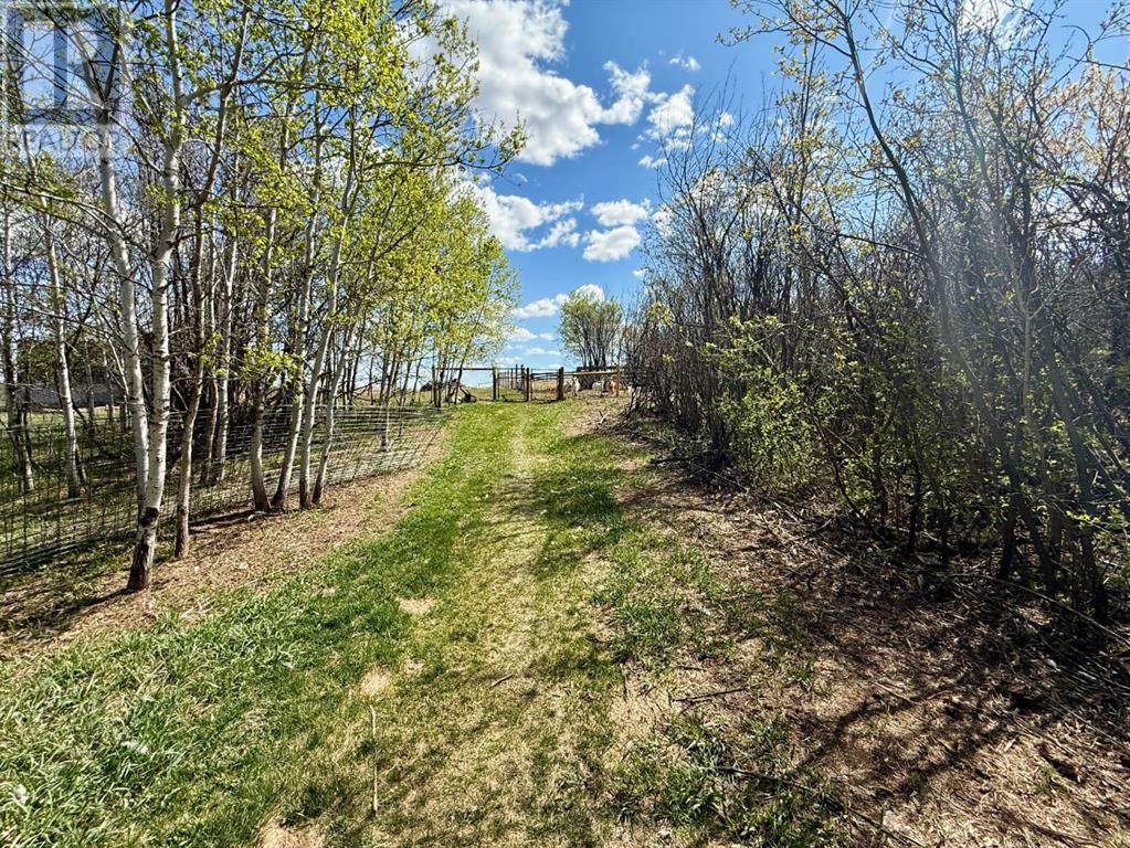 422067 Rng Rd 80, Amisk, Alberta  T0B 2E0 - Photo 33 - A2219436