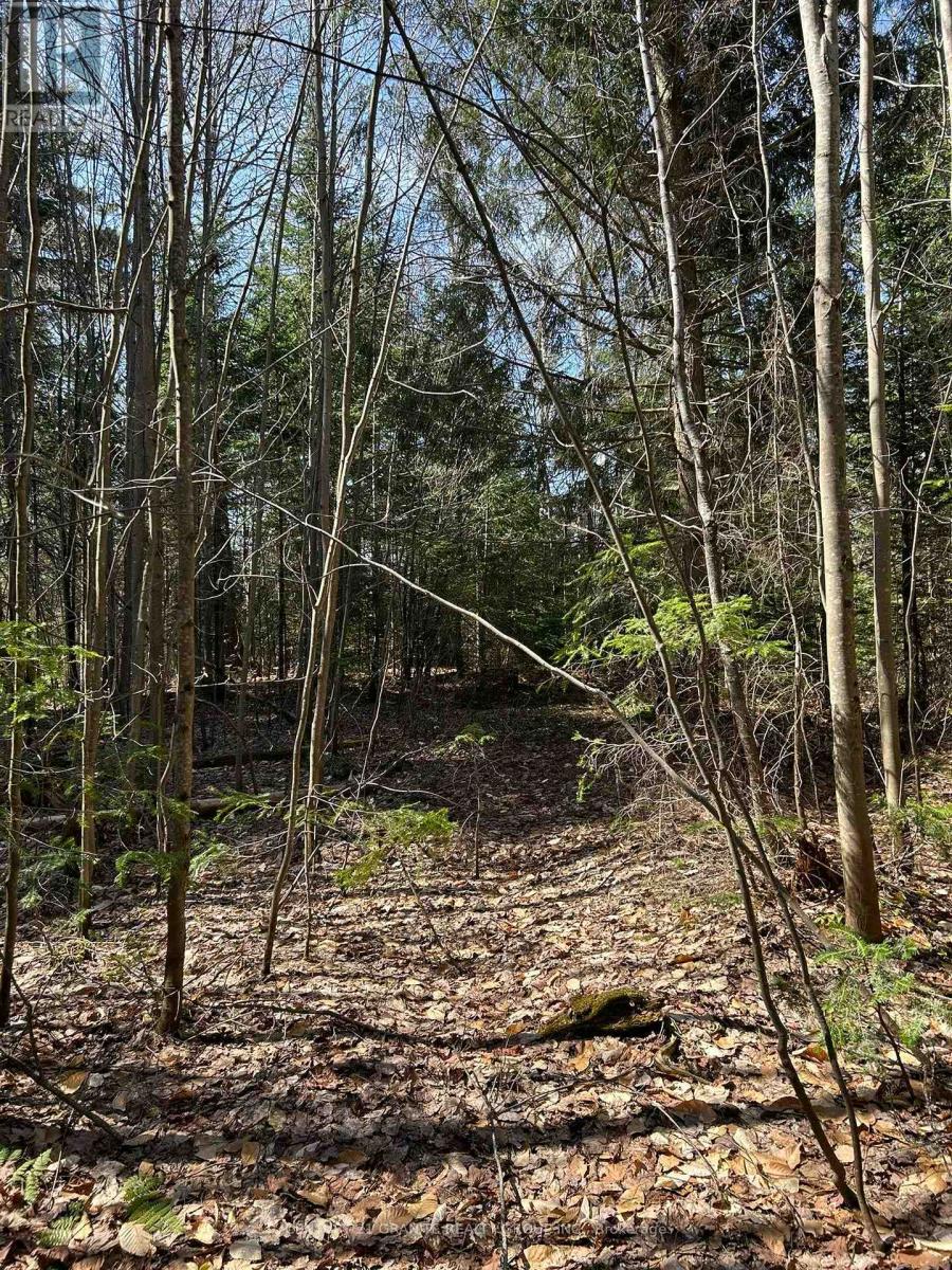 0 Madawaska Road, Hastings Highlands, Ontario  K0L 2S0 - Photo 6 - X12133954