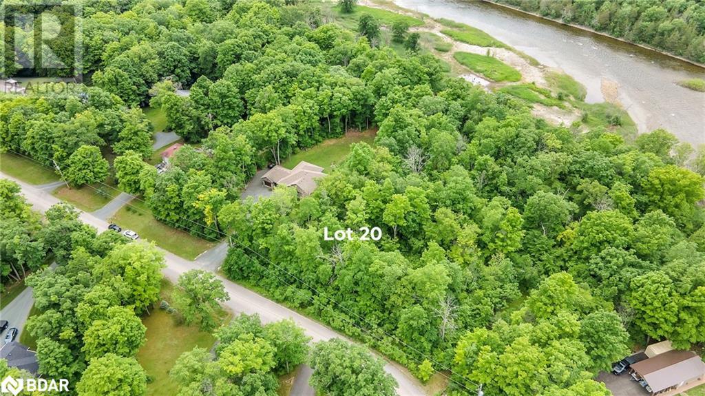 20 Riverside Drive Drive, Campbellford, Ontario  K0K 1L0 - Photo 5 - 40727226