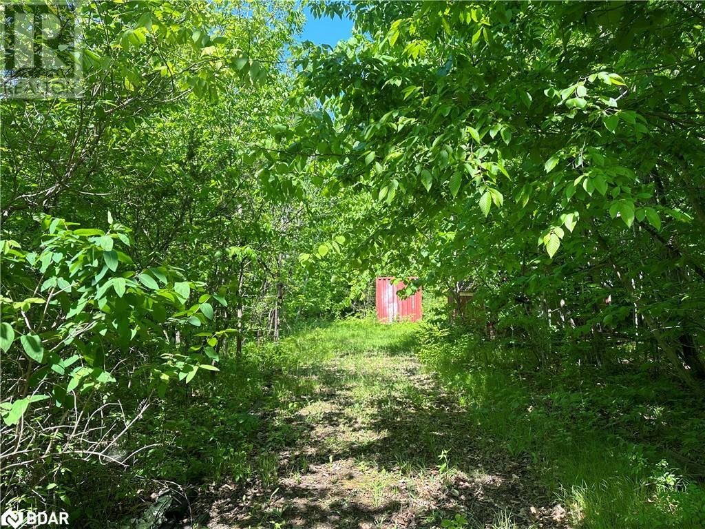 21 Riverside Drive Drive, Campbellford, Ontario  K0K 1L0 - Photo 17 - 40727229