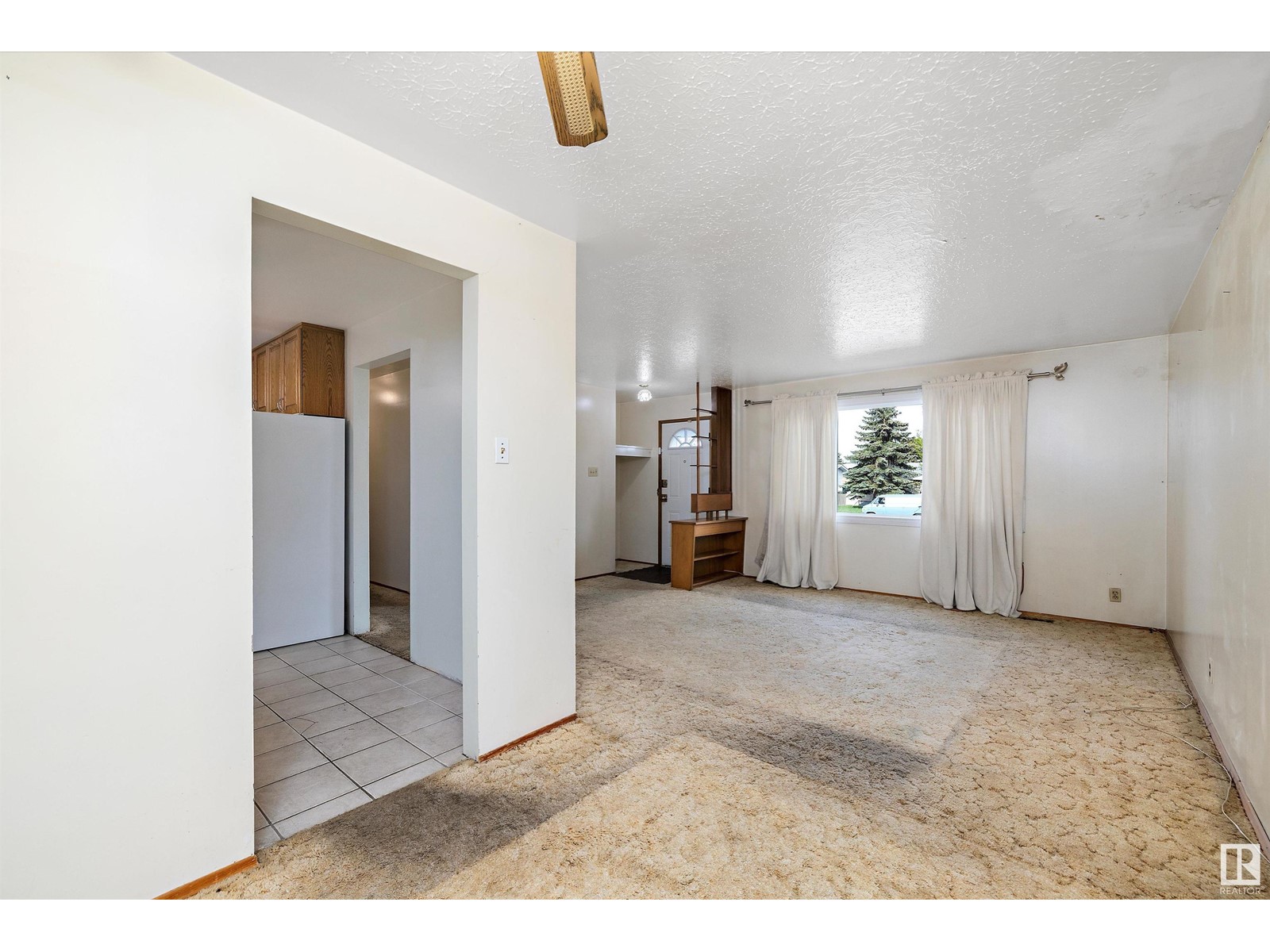 8008 159 St Nw, Edmonton, Alberta  T5R 2E4 - Photo 9 - E4435803