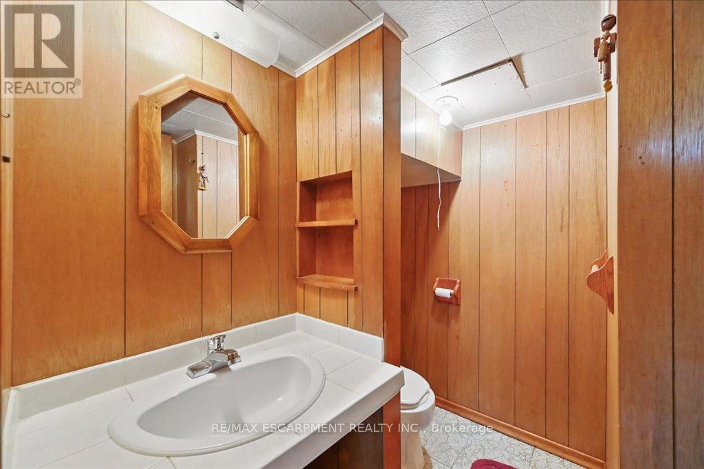 269 Rainbow Drive, Hamilton, Ontario  L8K 4G3 - Photo 37 - X12139713