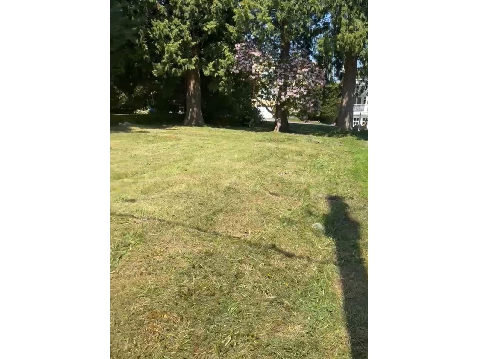 Listing Picture 2 of 6 : 15482 SEMIAHMOO AVENUE, White Rock - 魯藝地產 Yvonne Lu Group - MLS Medallion Club Member