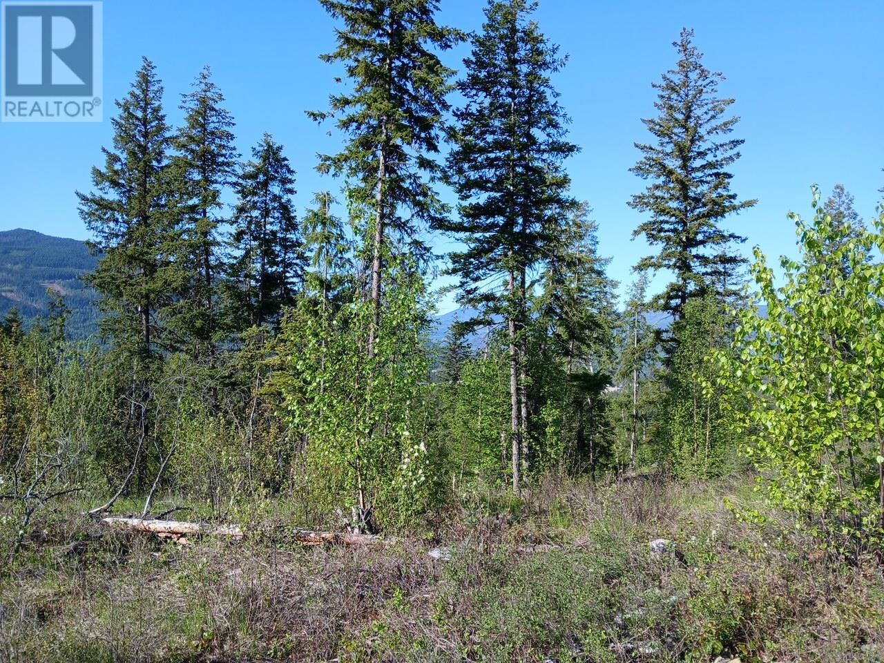 Lot 2 Candle Creek Road, Clearwater, British Columbia  V0E 1N1 - Photo 16 - 10347263