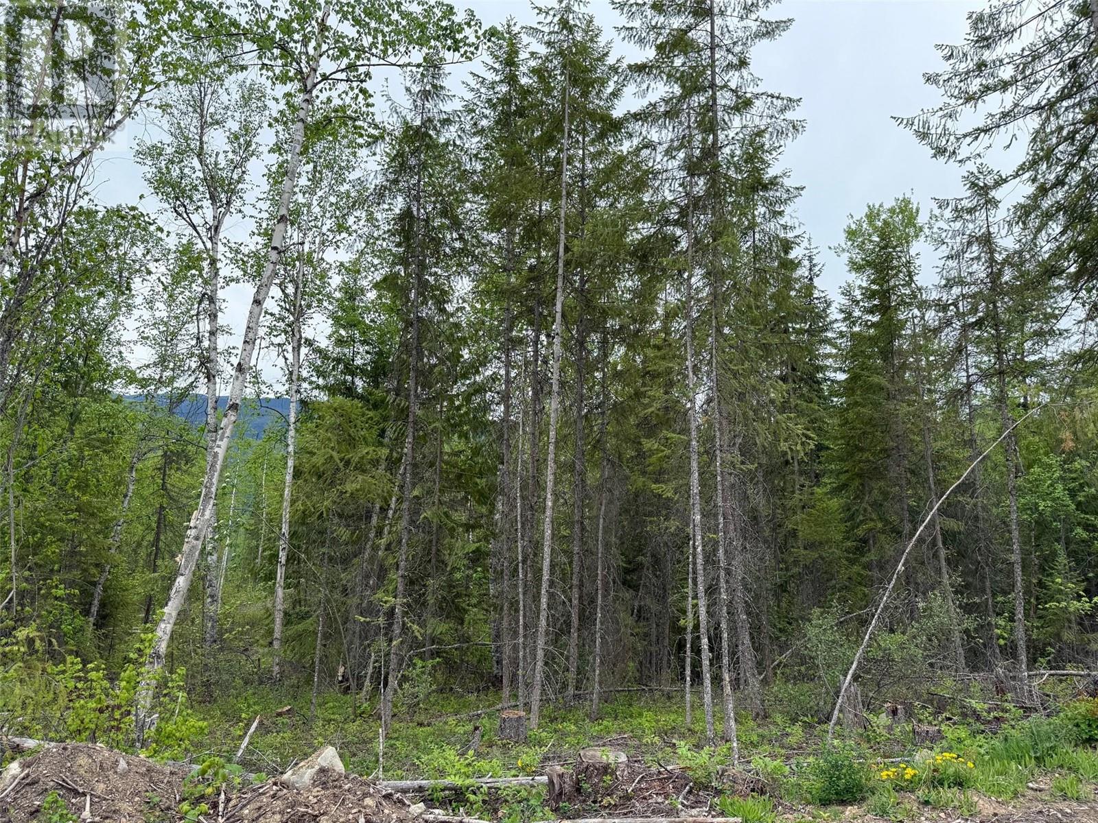 Lot 2 Candle Creek Road, Clearwater, British Columbia  V0E 1N1 - Photo 8 - 10347263