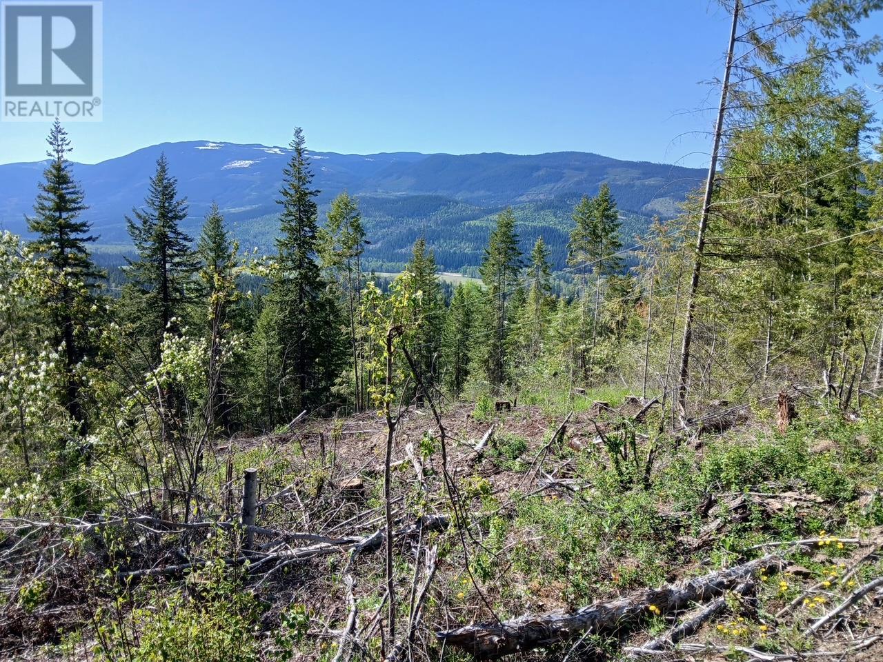 Lot 2 Candle Creek Road, Clearwater, British Columbia  V0E 1N1 - Photo 45 - 10347263