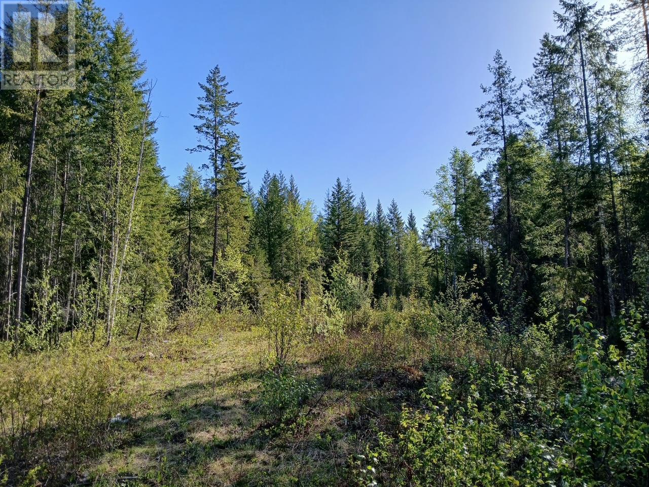 Lot 2 Candle Creek Road, Clearwater, British Columbia  V0E 1N1 - Photo 47 - 10347263
