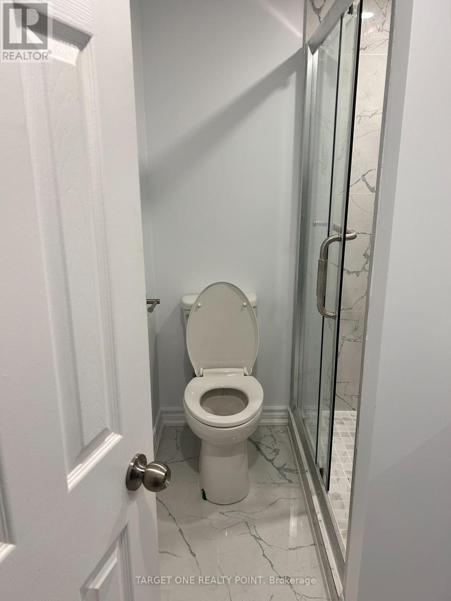 Basement - 5387 Wilderness Trail, Mississauga, Ontario  L4Z 4A8 - Photo 10 - W12140004