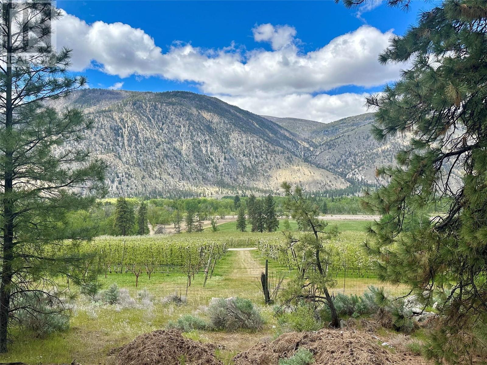 525 Highway 3 Highway, Cawston, British Columbia  V0X 1C0 - Photo 23 - 10347060
