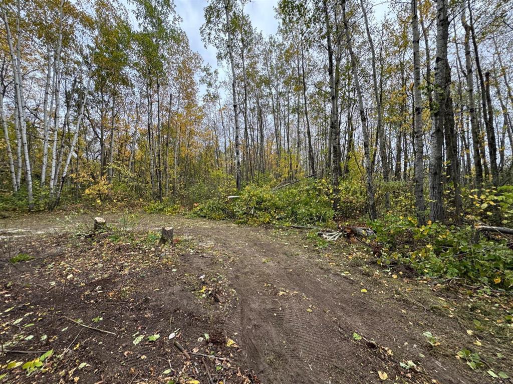 18 Westview Drive, Lac Du Bonnet Rm, Manitoba  R0E 1A0 - Photo 12 - 202506227