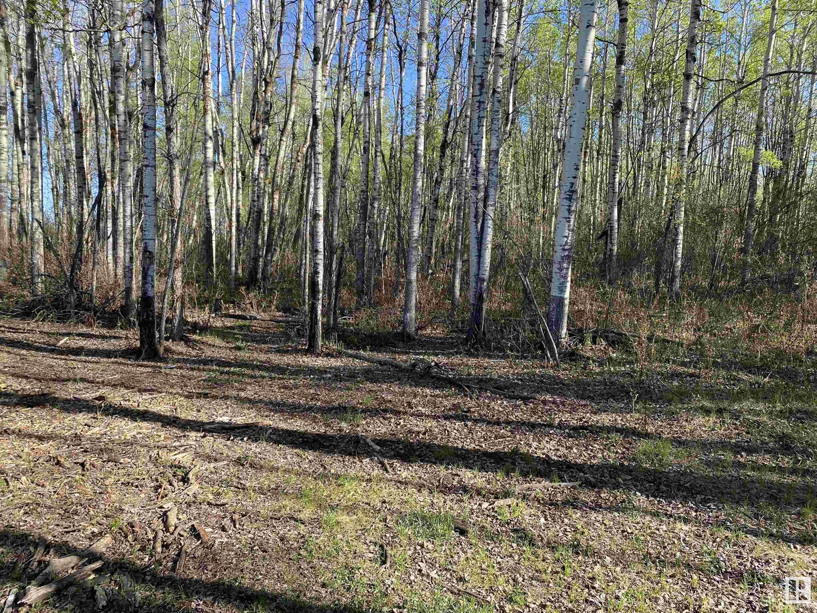 Township Rd 54 Range Road 30, Rural Lac Ste. Anne County, Alberta  T7Z 2Z7 - Photo 13 - E4435337