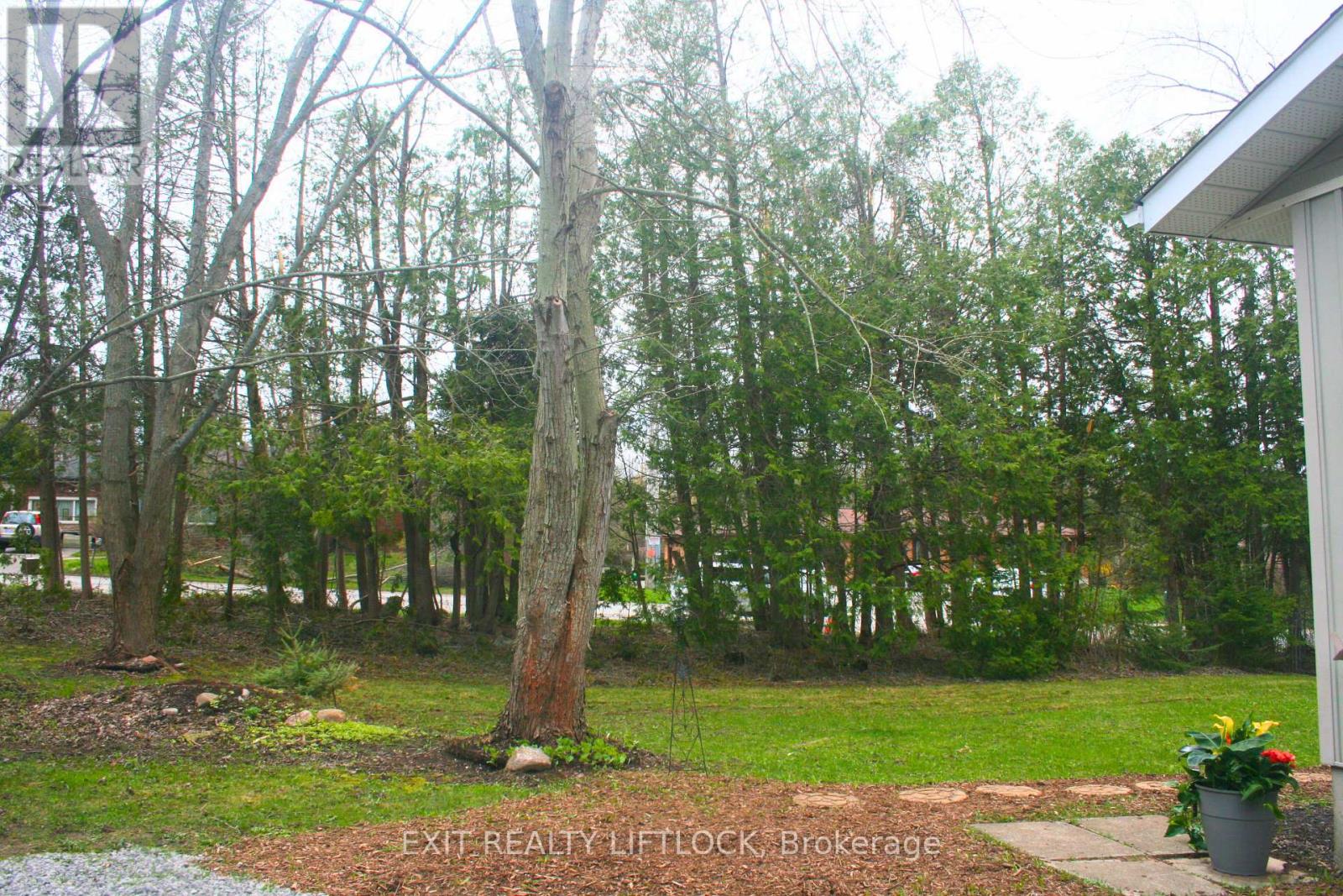 Property at 868 LILY LAKE ROAD image 3