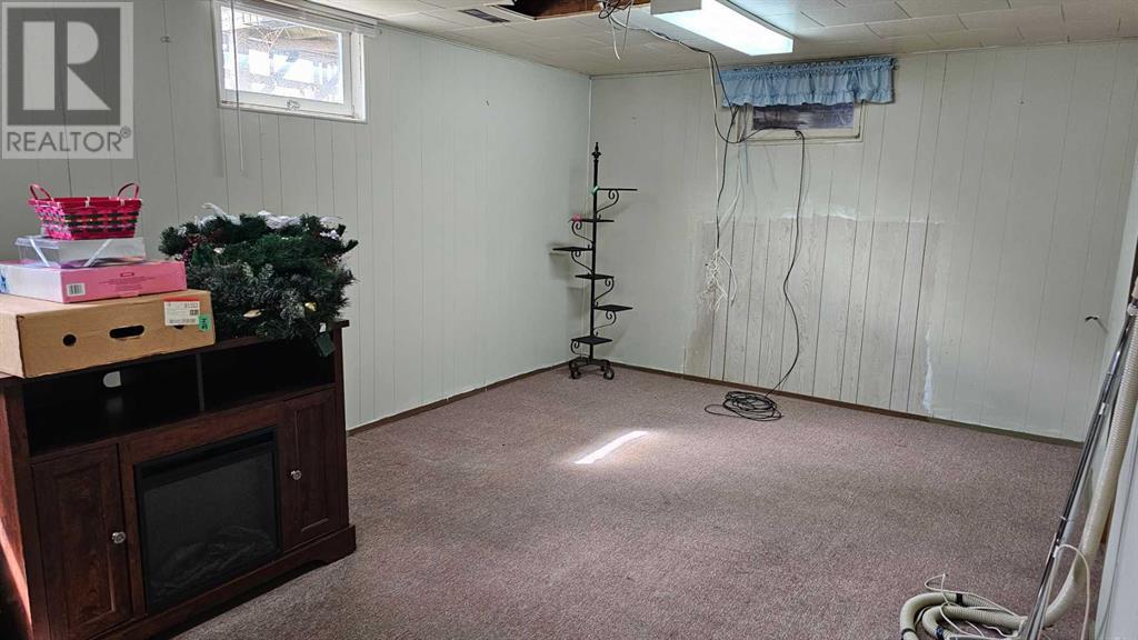 4501 54 Avenue, Castor, Alberta  T0C 0X0 - Photo 32 - A2216492