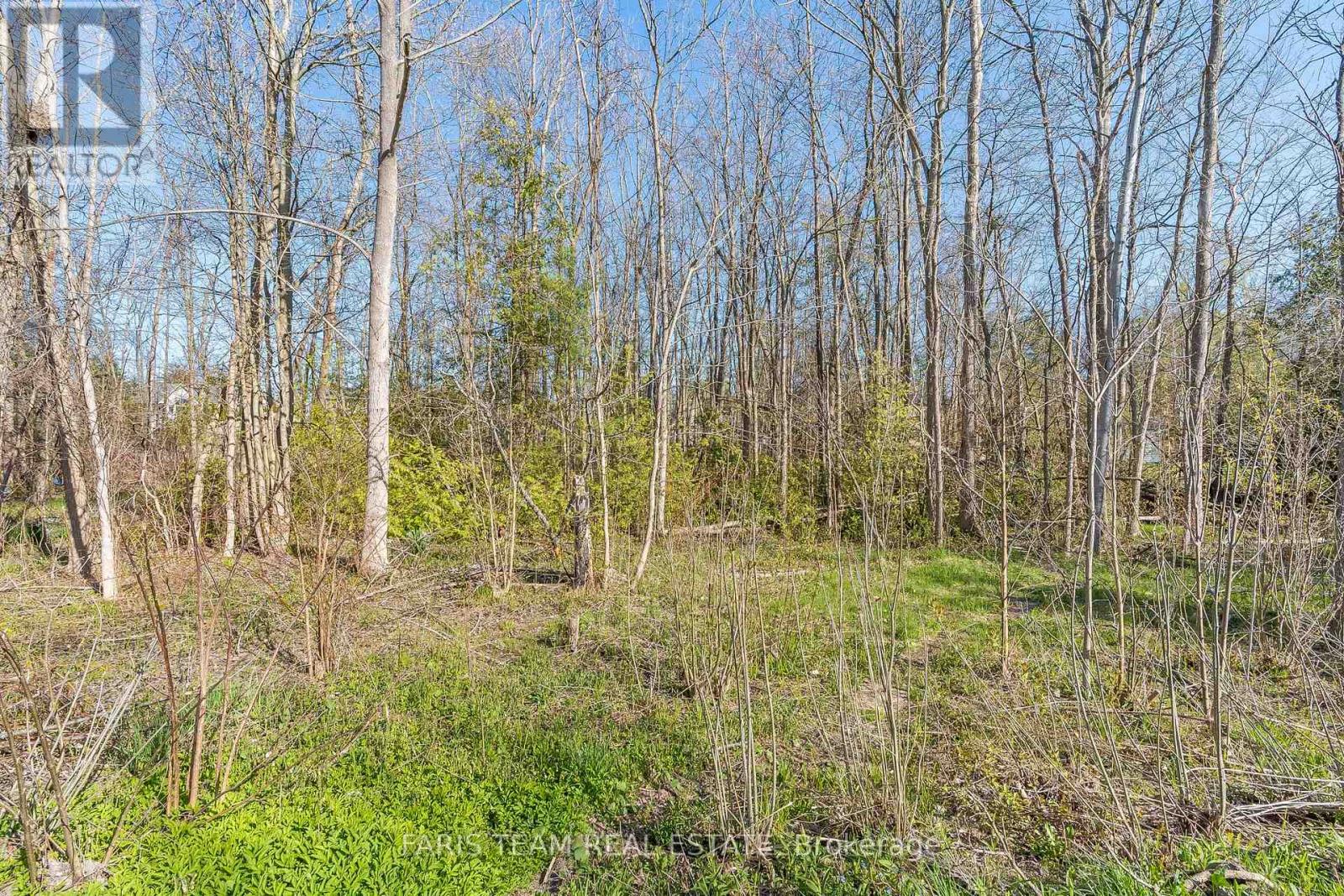Lot 81 And 82 East Street, Innisfil, Ontario  L9S 2L9 - Photo 2 - N12066265