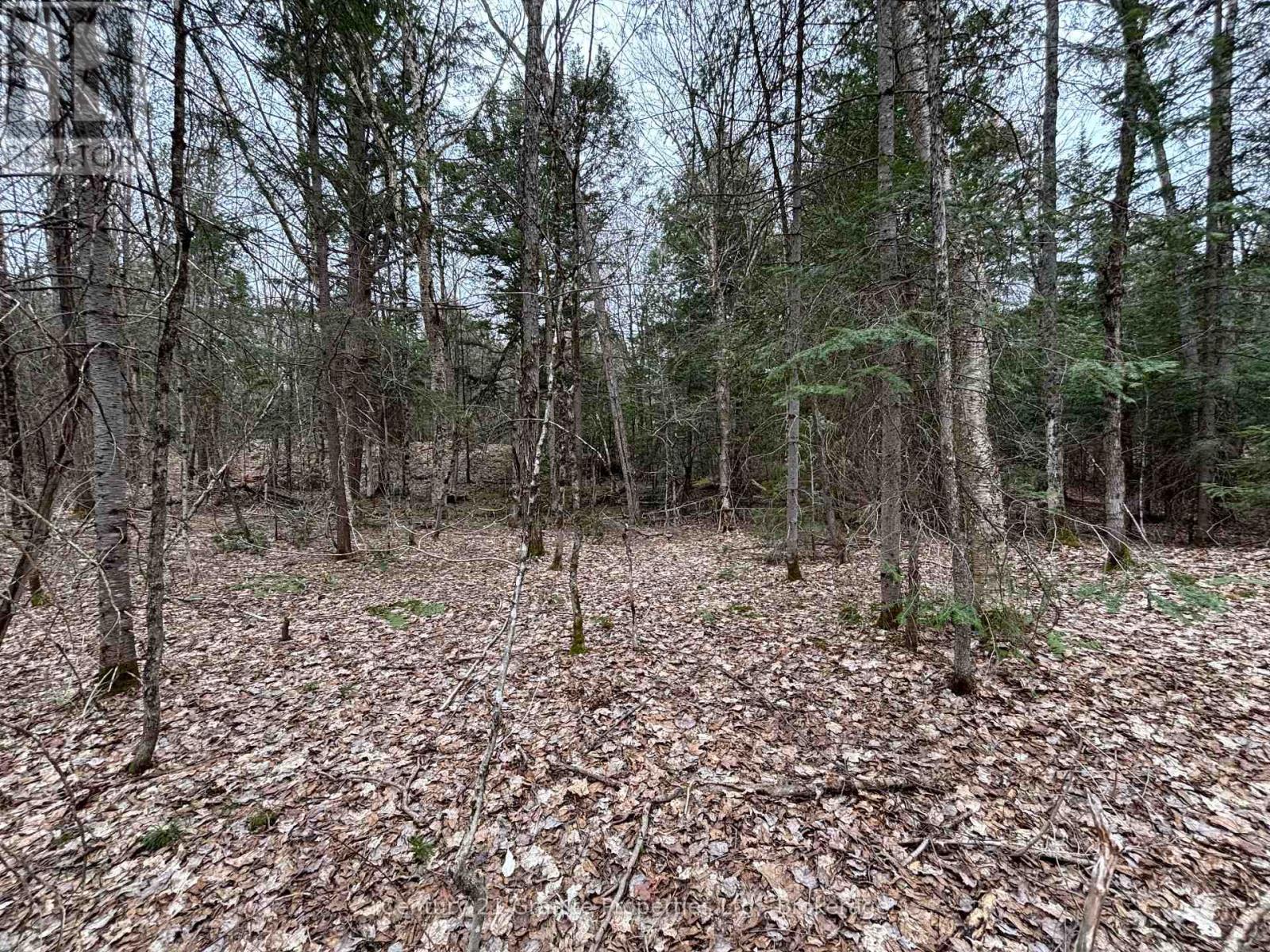 LOT 1 LOCH ERNE ROAD, McDougall, Ontario