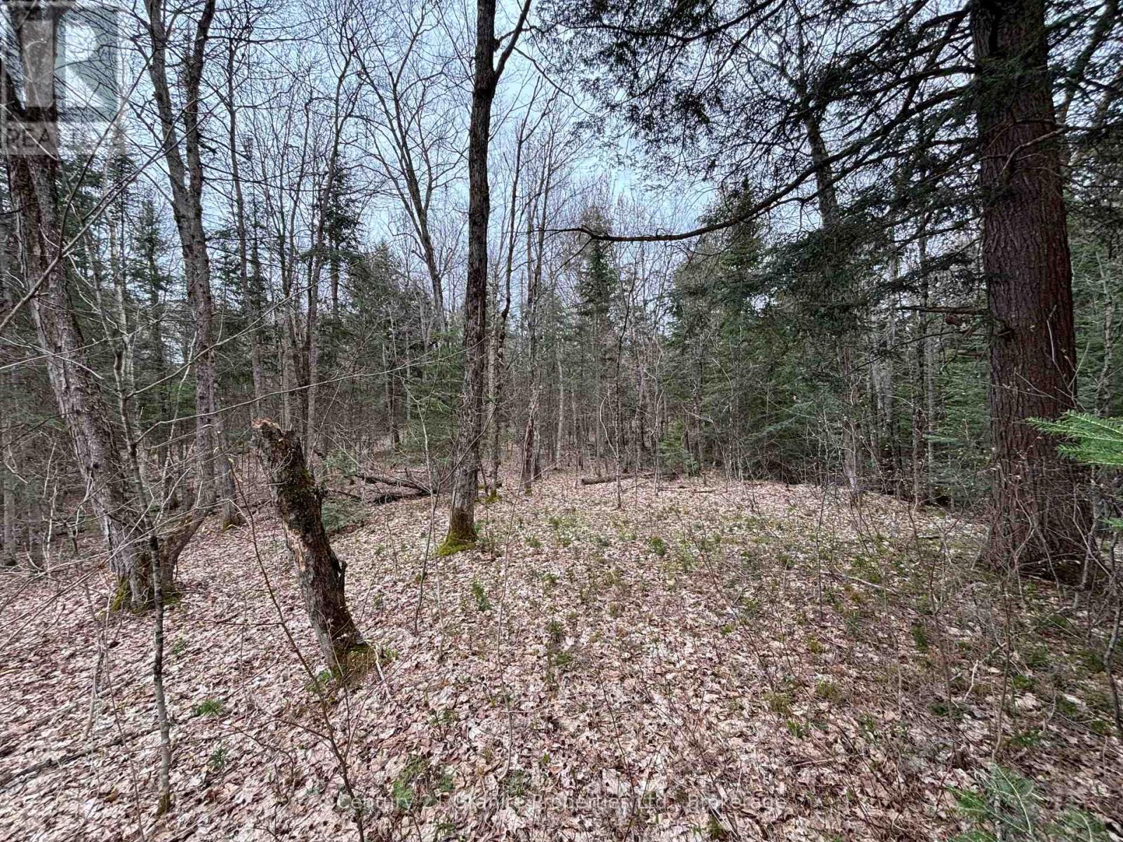 Lot 1 Loch Erne Road, Mcdougall, Ontario  P2A 2W7 - Photo 6 - X12140250
