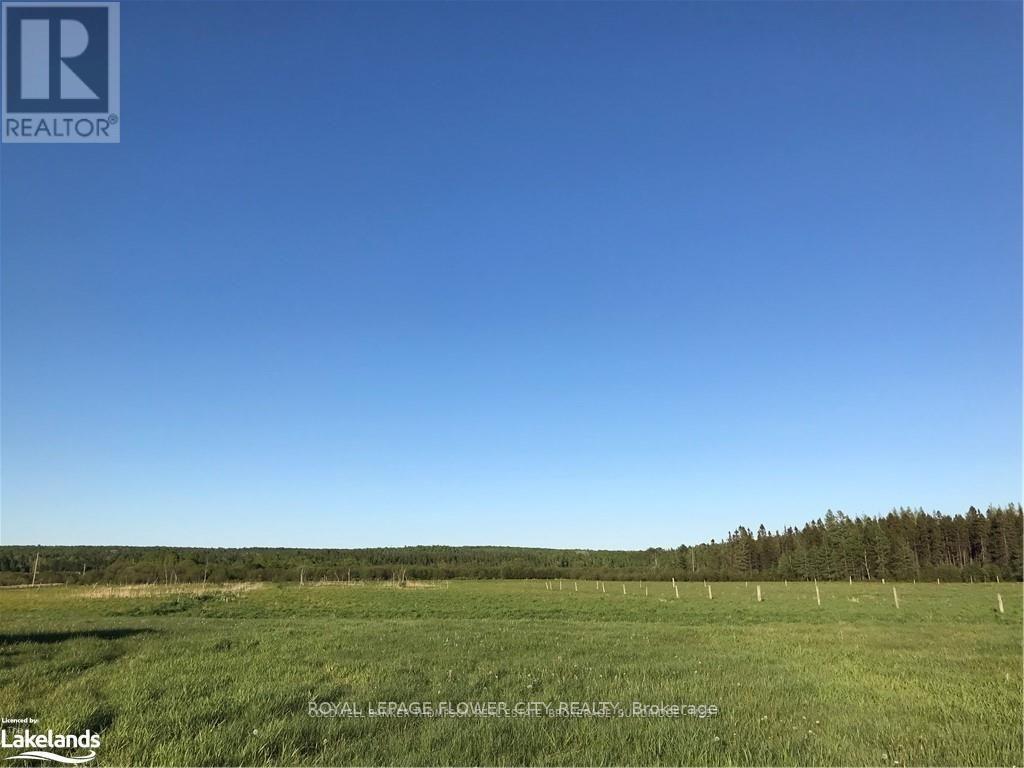 1017 Adams Road, Strong, Ontario  P0A 1Z0 - Photo 5 - X12140315