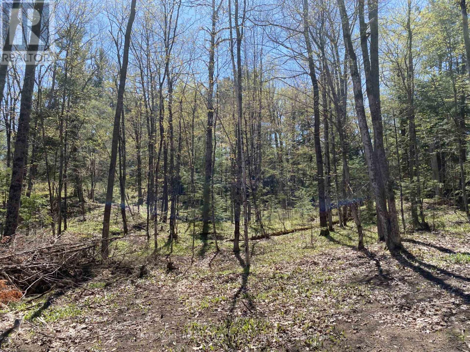 00 Calabogie Road, Mcnab/braeside, Ontario  K7S 3G8 - Photo 7 - X12027137