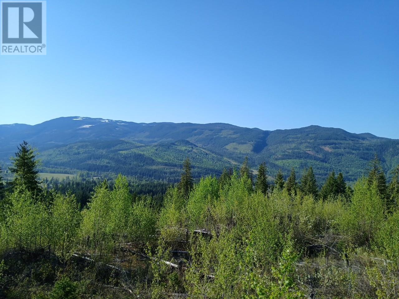 Lot 2 Candle Creek Road, Clearwater, British Columbia  V0E 1N1 - Photo 2 - 10347263